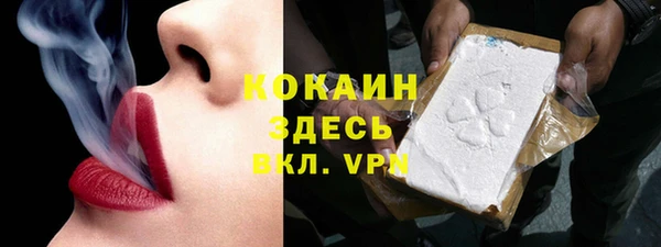 гашик Вязники